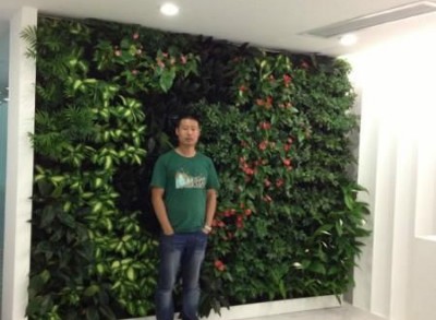 绿植墙