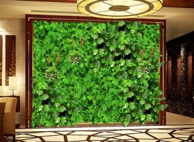 绿植墙