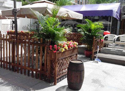 餐厅咖啡厅绿植租赁