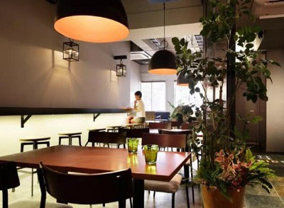 餐厅咖啡厅绿植租赁