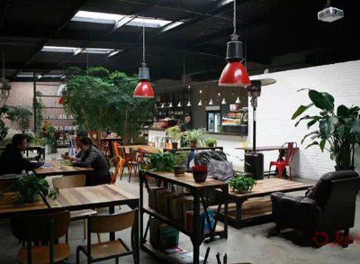 餐厅咖啡厅绿植租赁
