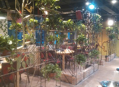 餐厅植物租赁